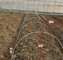 10mm faserverstärktes Plastik-Rod Flexible Fiberglass Rods For grünes Haus-Pflanzen
