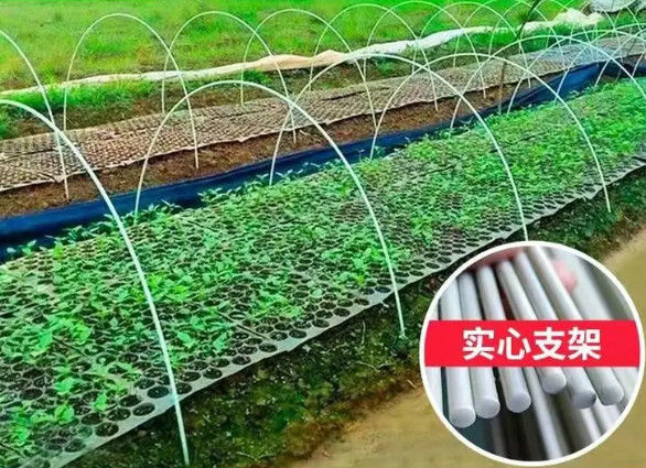 10mm faserverstärktes Plastik-Rod Flexible Fiberglass Rods For grünes Haus-Pflanzen