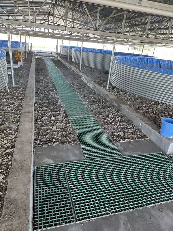 Fischfarm FRP Gitter Gehweg oder Plattform kann für Größe und Farbe angepasst werden