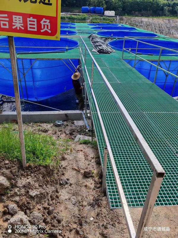 Fischfarm FRP Gitter Gehweg oder Plattform kann für Größe und Farbe angepasst werden